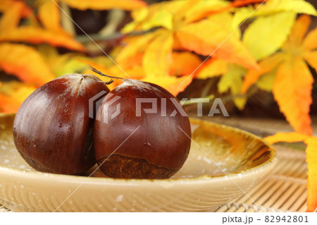秋の旬の果物 愛媛産の利平栗2つと紅葉 82942801