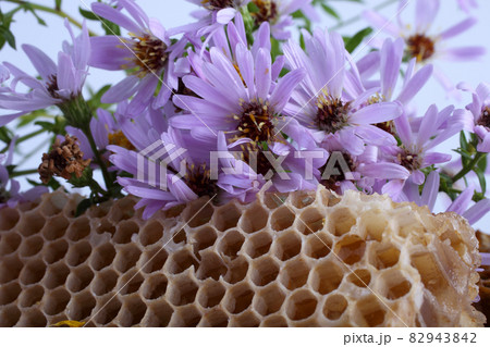 Honeycombs and wild asters background Honeycombs and wild asters background 82943842