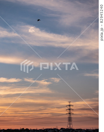 夕景　鉄塔 82945240