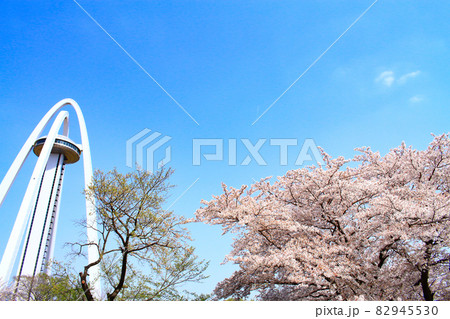 一宮市、ツインアーチ138と満開の桜の風景 82945530