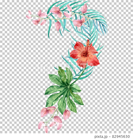 Tropical number watercolor Tropical number watercolor 82945630