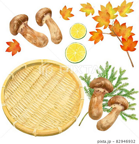 籠と松茸の盛り合わせともみじなど秋の味覚セット白バックベクターイラスト素材 82946932
