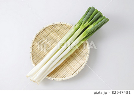 長ネギ　ネギ 82947481
