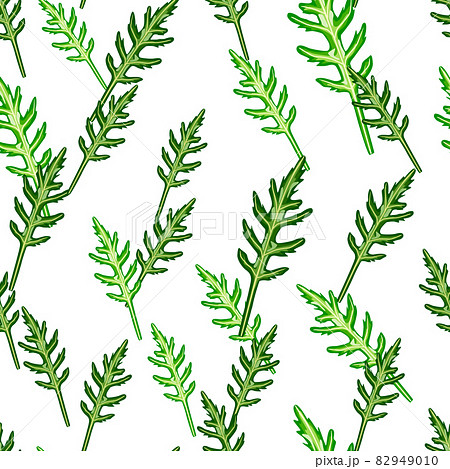 Seamless pattern bunch arugula salad on white background. Simple ornament with lettuce. Seamless pattern bunch arugula salad on white background. Simple ornament with lettuce. 82949010