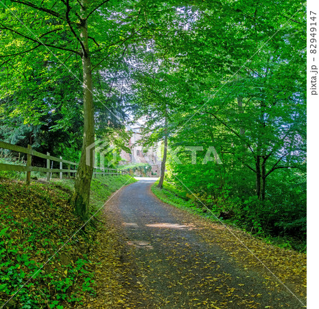 Impression from access road to medieval castle of Miltenberg during daytime Impression from access road to medieval castle of Miltenberg during daytime 82949147