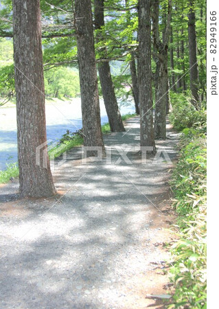 新緑の信州上高地、梓川に沿って進む絶景の遊歩道 82949166