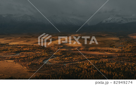 Winding river in the mountain valley. Yellow larch forest. Snow peaks in the background. 82949274
