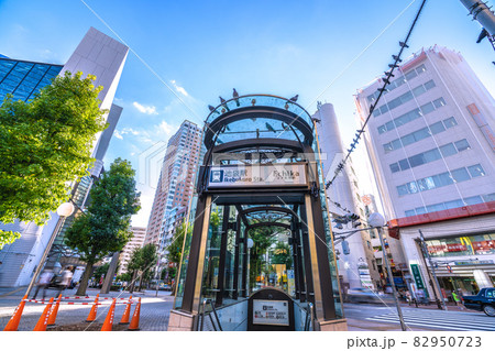 日本の東京都市景観　池袋駅（出入口）や都会に住みつく鳩などを望む 82950723