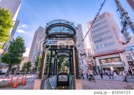日本の東京都市景観 池袋駅(出入口)や都会に住みつく鳩などを望む 日本の東京都市景観 池袋駅(出入口)や都会に住みつく鳩などを望む 82950725