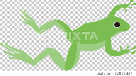 ジャンプする蛙 82951484