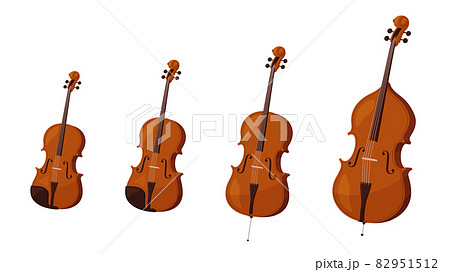 バイオリン ビオラ チェロ コントラバスが並んだイラストのイラスト素材