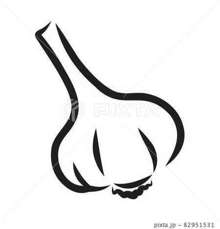 Vegetable, spice, three garlics, vector, monochrome contour on white Vegetable, spice, three garlics, vector, monochrome contour on white 82951531