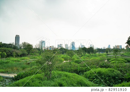 タイ・バンコク都内の公共公園「ベンジャキティ新公園」「ベンジャキティ森林公園」「ベンジャキティ公園」 82951910