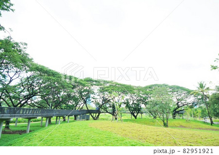 Bangkok Green Bridge at Benjakitti park 82951921