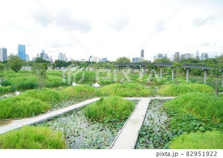 Benjakitti (forest) park in Bangkok, Thailand 82951922
