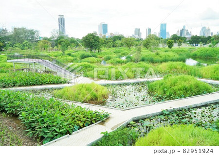 タイ・バンコクの新名所、ベンジャキティ（新、森林）公園 82951924