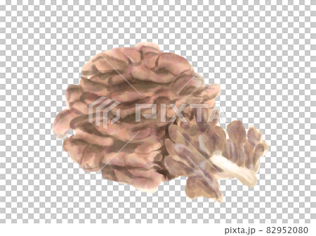 Hand-painted Maitake mushroom Hand-painted Maitake mushroom 82952080