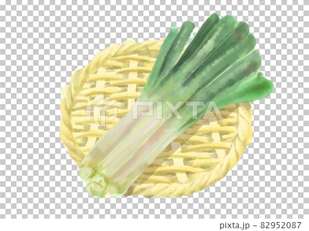 ざる盛りの白ネギ 82952087