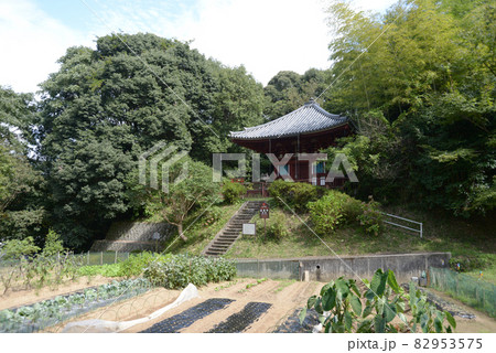 巨勢の道 安楽寺塔婆 奈良県御所市古瀬 巨勢の道 安楽寺塔婆 奈良県御所市古瀬 82953575