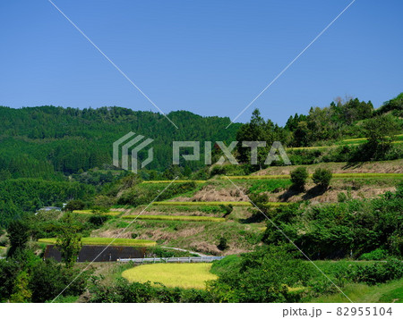 秋の吉延の棚田 秋の吉延の棚田 82955104