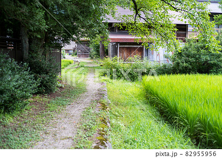 【白川郷】夏の合掌村歩き 82955956