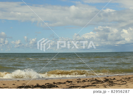 The Baltic Sea in August. Sand,seaweed on the shore, waves, beautiful clouds and the sun. High quality photo The Baltic Sea in August. Sand,seaweed on the shore, waves, beautiful clouds and the sun. High quality photo 82956287