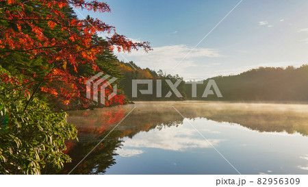 紅葉と白駒池の湖面に反射する日の出 紅葉と白駒池の湖面に反射する日の出 82956309