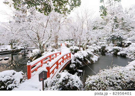 公園の雪景色(倉吉市打吹公園) 公園の雪景色(倉吉市打吹公園) 82956401