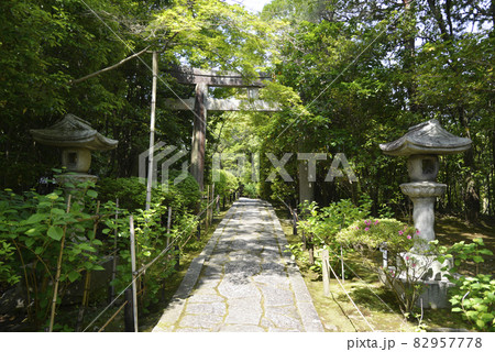 金地院 東照宮参道 京都市左京区 金地院 東照宮参道 京都市左京区 82957778