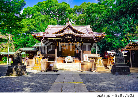 代々木八幡宮 82957902