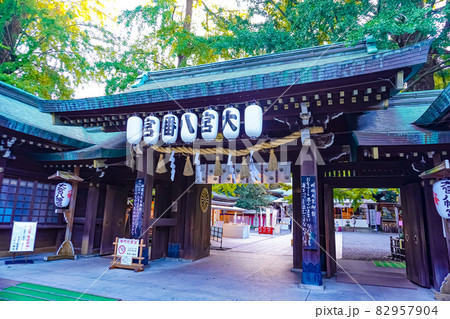 大宮八幡宮 大宮八幡宮 82957904