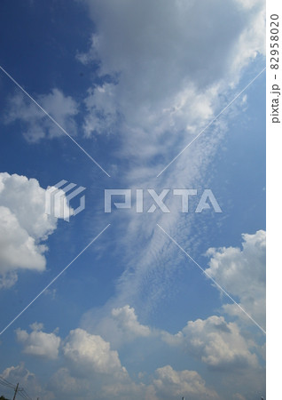 多摩川 府中市南町 多摩川 府中市南町 82958020