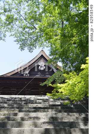 三井寺　新緑の金堂　滋賀県大津市 82958549