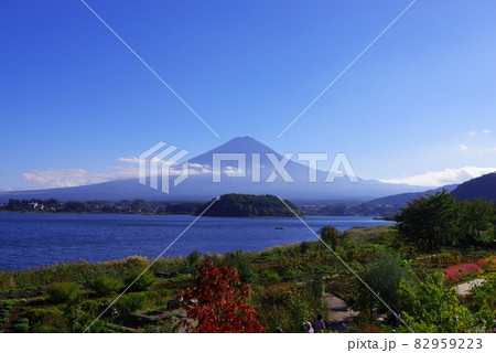 河口湖畔から望む富士山と青い空 82959223