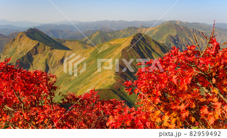 秋晴れと紅葉・谷川連峰 82959492