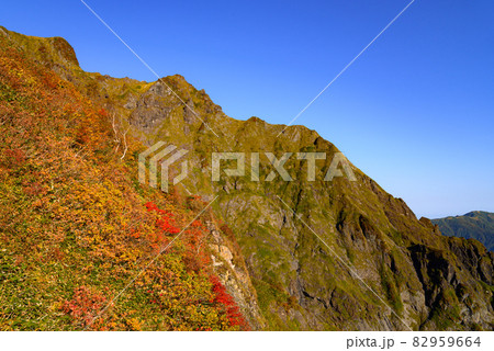 秋の山稜・紅葉シーズンの谷川岳（西黒尾根より） 82959664