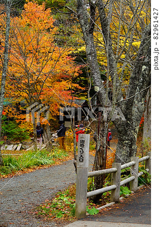 蔦沼　青森県 82961427