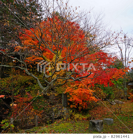 蔦沼 青森県 蔦沼 青森県 82961441