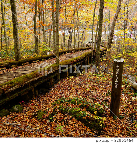 蔦沼　青森県 82961464