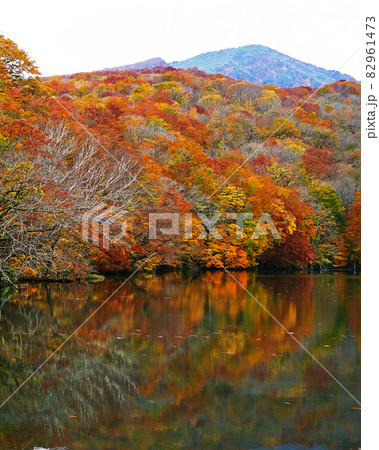 蔦沼 青森県 蔦沼 青森県 82961473