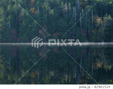 白駒池のカラフルな紅葉の風景 82961524