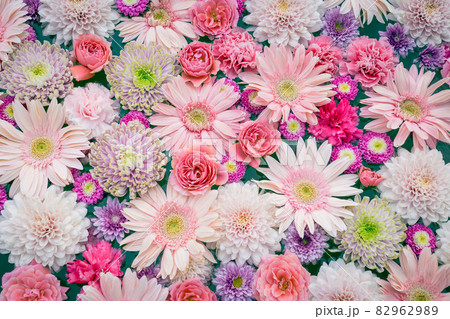 ピンクと紫の花の背景（バラ、ダリア、カーネーション） 82962989
