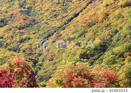 紅葉見頃な立山黒部アルペンルート 黒部平〜大観峰 紅葉見頃な立山黒部アルペンルート 黒部平〜大観峰 82963033