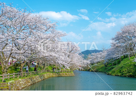 鹿野城跡公園の春風景の写真素材