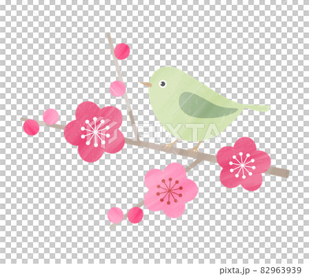 Illustration of cute plum and white-eye Illustration of cute plum and white-eye 82963939
