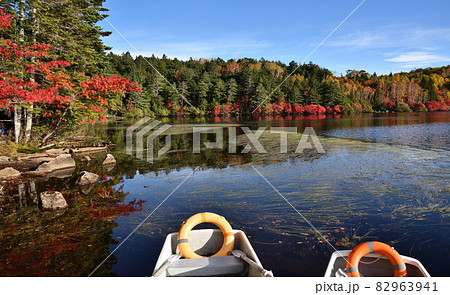 紅葉の盛りを迎えた白駒池 紅葉の盛りを迎えた白駒池 82963941