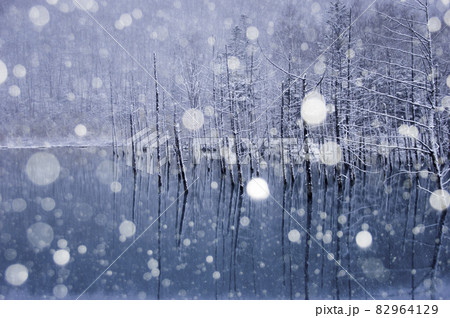 美瑛町冬の青い池 82964129