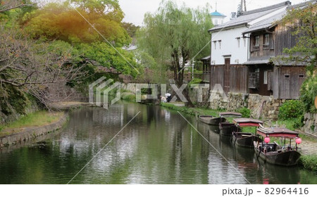 近江八幡 水郷巡り 近江八幡 水郷巡り 82964416