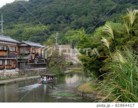 近江八幡 水郷巡り 近江八幡 水郷巡り 82964417