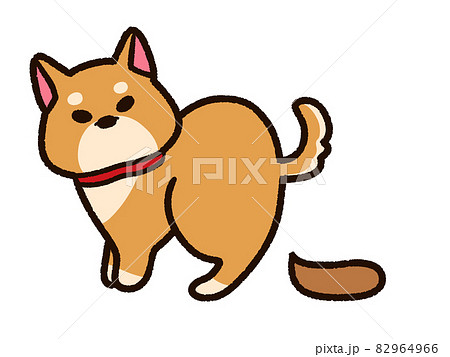 糞をするペットの柴犬 82964966